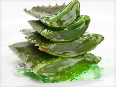 PanSoap-Aloe-Soap-MMG2