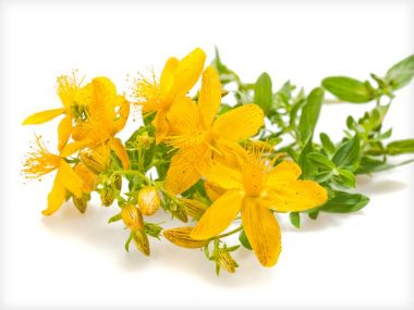 PanSoap-Hypericum-Soap-MMG1